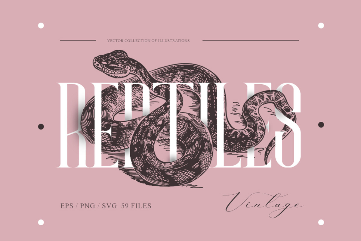 Vintage Bundle 2500+ Free Update, an Animal Illustration by Retro Machine (Photo 2 of 170)