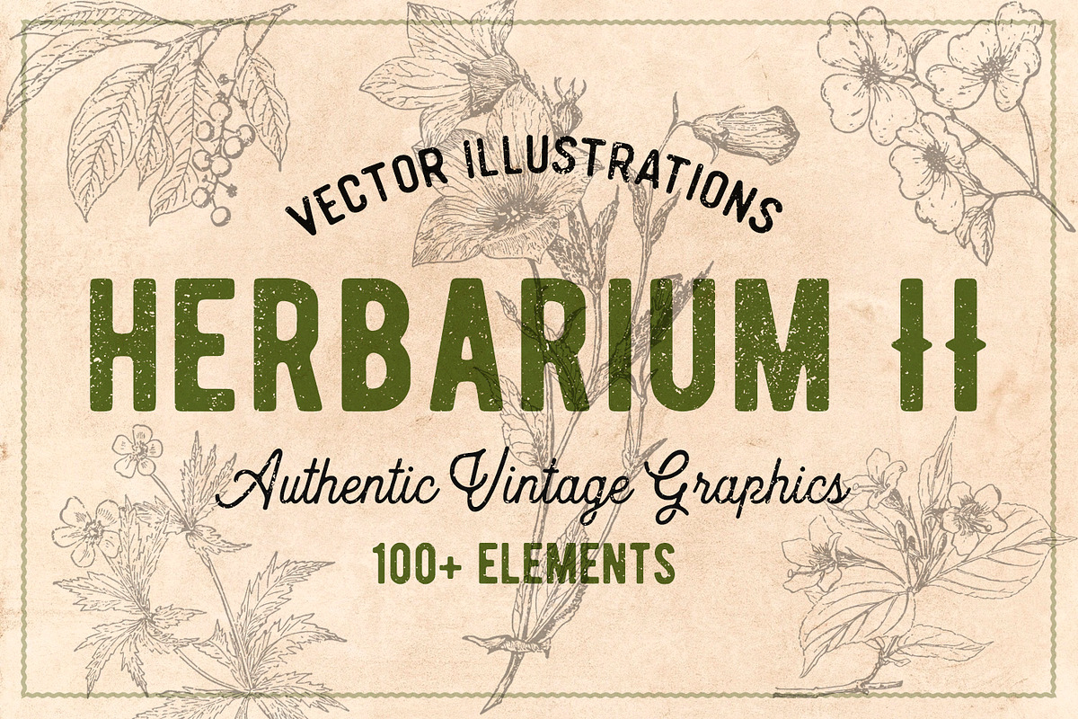 100 Vintage Leaves & Branches 2, an Illustration by Brigantine Designs (Photo 1 of 8)