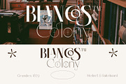 Colibre Bristole Pro, a Serif Font by Jolicia Type (Thumbnail 6 of 13)