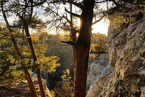 Sunlit trees cling to rugged cliffs at Garden of the Gods, Colorado Springs, of, a Nature Photo by AS photostudio