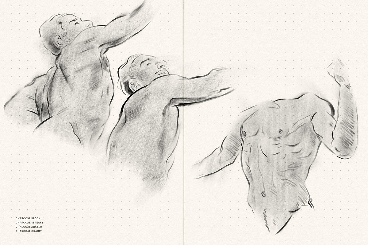 Daily Sketch – Procreate Brushes, a Brush Add-On by Sadie Lew (Photo 10 of 13)