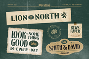 Prestion, a Sans Serif Font by Burntilldead (Thumbnail 9 of 12)