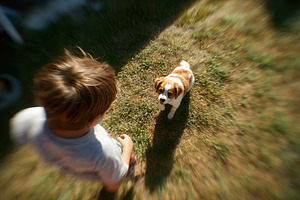Child playing with a dog in the bright backyard during a sunny afternoon, a Person Photo by AlyaAnd