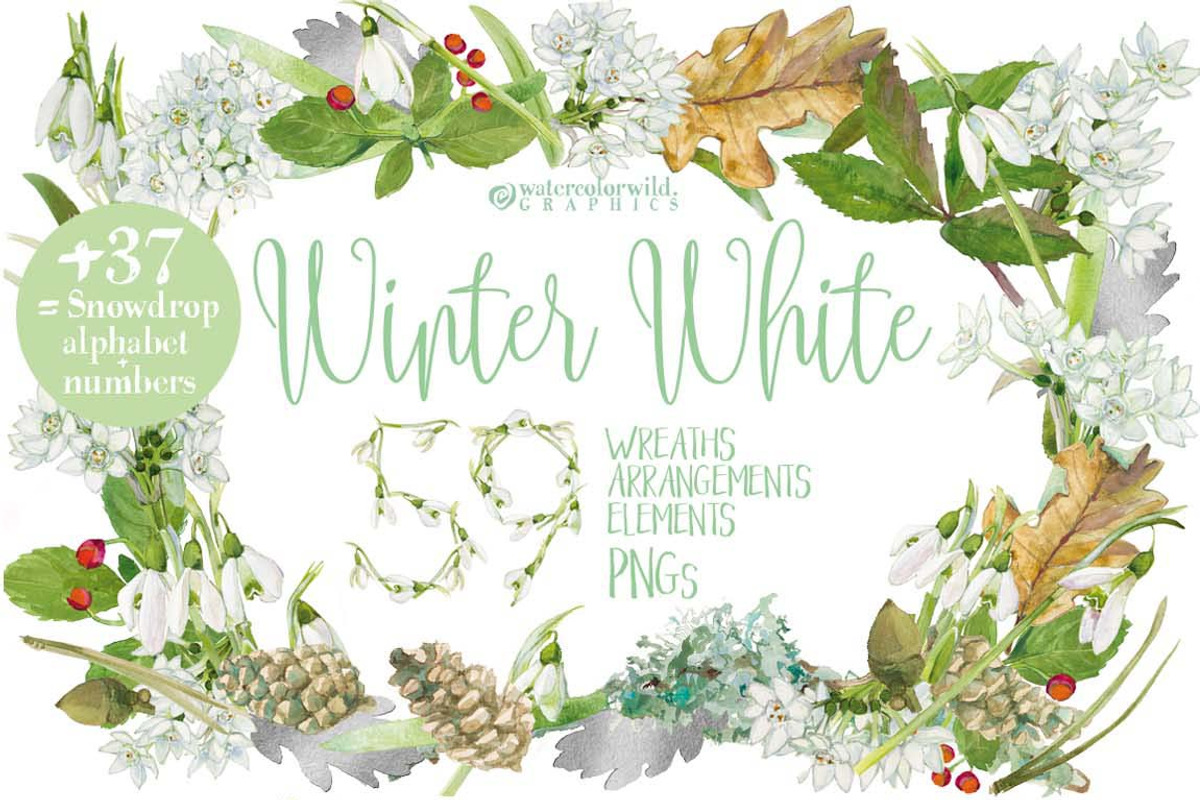 BUNDLE WHITE FLOWERS-85%, an Illustration by watercolorwild.graphics (Photo 7 of 12)