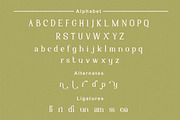 Yunan - Modern and Classy Font, a Serif Font by Flawless And Co (Thumbnail 9 of 14)