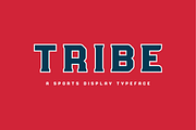 Ultimate Sports Font Bundle, a Slab Serif Font by Studio One Four (Thumbnail 10 of 25)