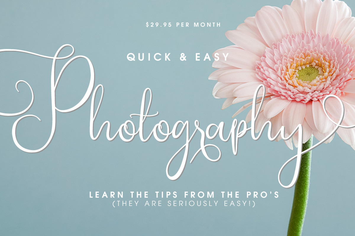 Southfall Script Font preview 7