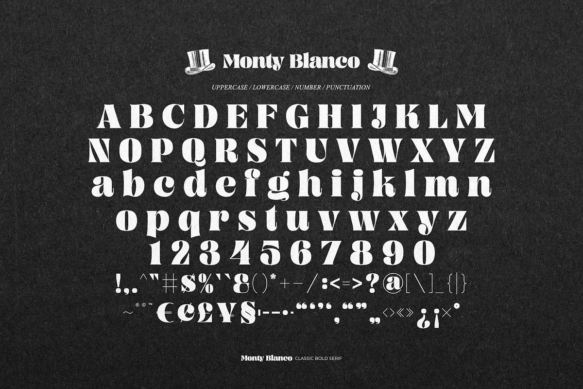Monty Blanco - Classic Bold Serif, a Serif Font by ikiiko (Photo 6 of 7)