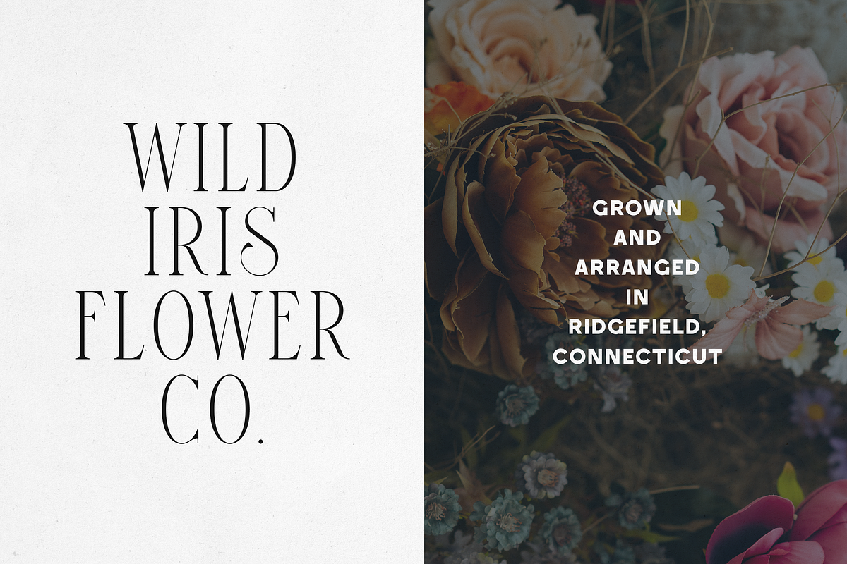 Elantrae & Velto – Modern Font Duo, a Serif Font by Only Fonts (Photo 3 of 10)