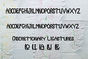 Spidoels Jadoels Handwriting, a Script Font by Republik Kreatif (Thumbnail 3 of 5)