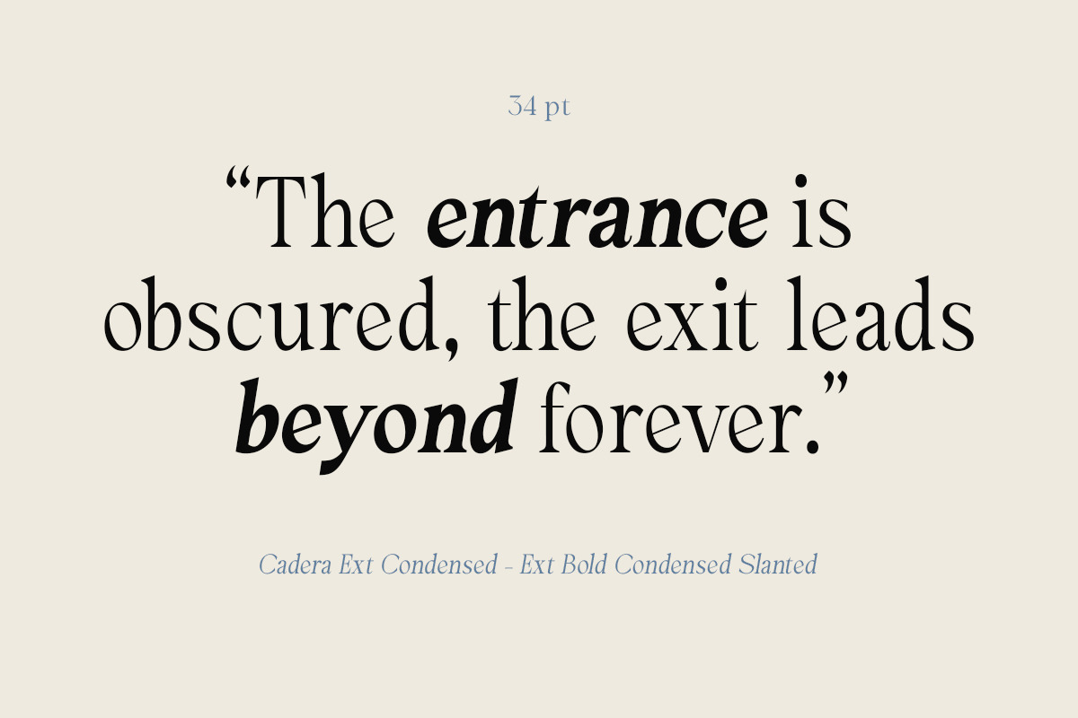 Cadera Serif | 162 Font Files, a Serif Font by Ws Studio (Photo 4 of 12)