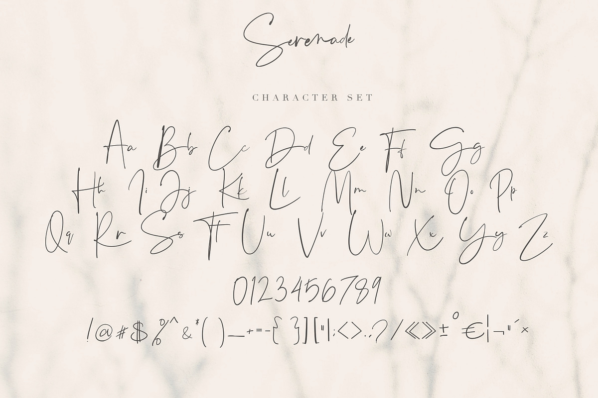 Serenade Script, a Script Font by Chocotype Std (Photo 7 of 7)