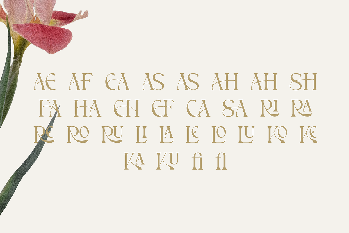 Hakuna – Elegant Serif Font, a Serif Font by Pen Culture (Photo 8 of 9)