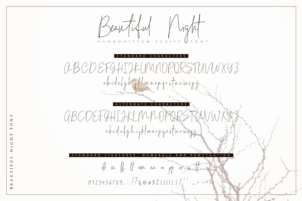 Beautiful Night Script Font preview 6