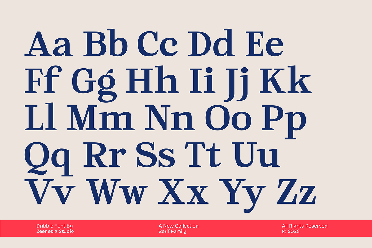 Dribble, a Serif Font by zeenesia (Photo 18 of 19)