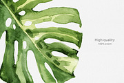 Tropical Leaves Watercolor, a Decorative Illustration by Volha Studio (Thumbnail 4 of 11)