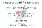 Beauty Chatti - Script Font, a Script Font by NTC Graphic (Thumbnail 6 of 7)