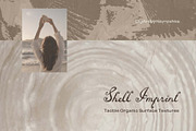 Shell Imprint textures, a Background Graphic by DigARTbyHavroshka (Thumbnail 12 of 12)