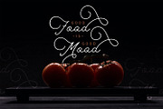 The Saily - Monoline Script Font, a Script Font by StringLabs (Thumbnail 6 of 10)