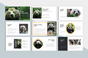 Animal Charity PowerPoint Template, a Presentation Template by litoondev (Thumbnail 3 of 10)