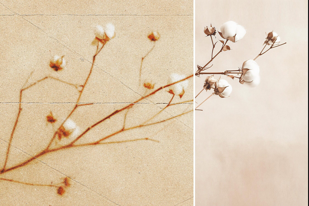 Blurred Folded Paper Photo Effect, a Layer Style Add-On by Design Squad (Photo 7 of 8)