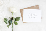 The White Rose Mockups Bundle, a Product Mockup by Salt Color Studio (Thumbnail 3 of 6)