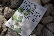 The Rogksy Elegant Serif Font, a Serif Font by Perfectype (Thumbnail 6 of 8)