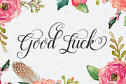 Maphylla, a Script Font by groens (Thumbnail 5 of 5)