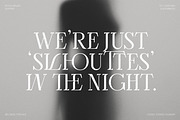 Bellrose Display Serif Font, a Serif Font by CarmineType (Thumbnail 17 of 24)