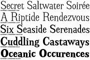 Screwby Condensed Family, a Serif Font by Pink Broccoli (Thumbnail 2 of 3)