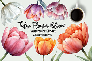 Tulip Flower Bloom Clipart, an Illustration by OK Design
