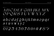 Helio Rainbow - Elegant Serif Font, a Serif Font by Wacaksara Co. (Thumbnail 7 of 9)