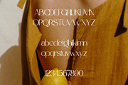Stone&Orange - Elegant & Modern Sans, a Sans Serif Font by Mikhail Kitsune (Thumbnail 10 of 11)