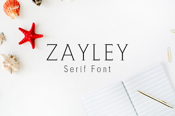 Zayley Serif Regular Font preview 7
