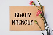 School Varsity, a Script Font by FreshTypeINK (Thumbnail 7 of 8)