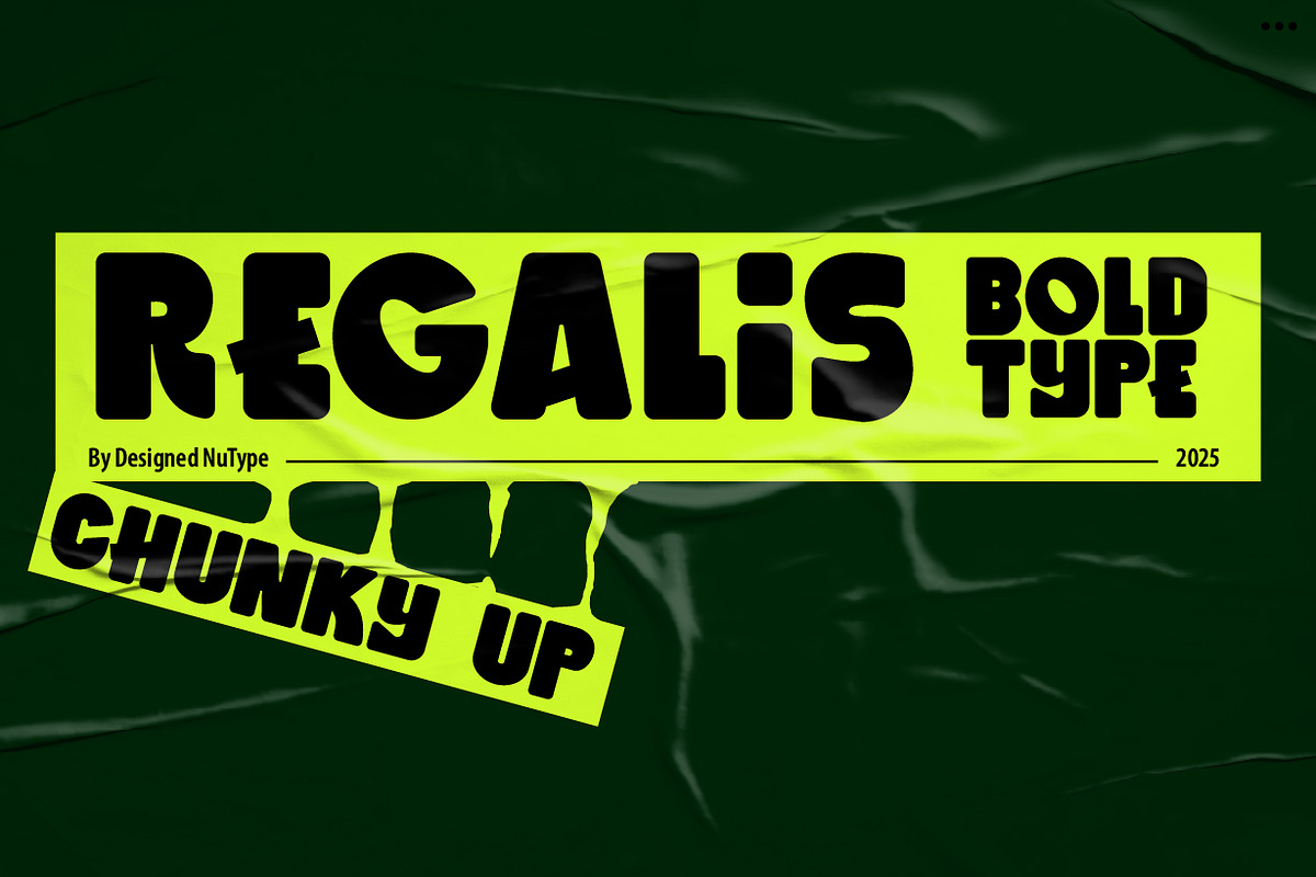 Regalis - Chunky Bold Type, a Sans Serif Font by NuType (Photo 1 of 12)