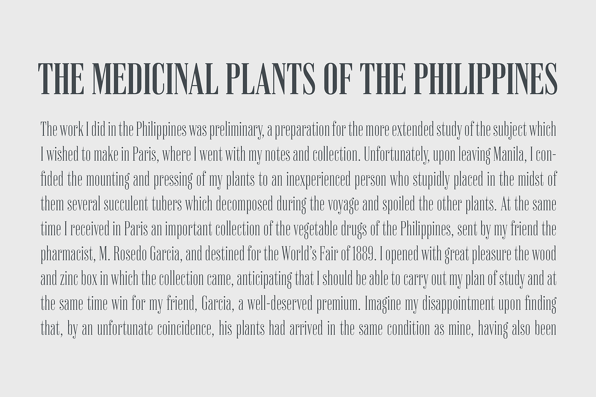 Vincente, a Serif Font by Dharma Type (Photo 9 of 10)