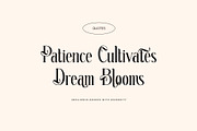 Reteons Elegant Ligature Serif Font, a Serif Font by Perfectype (Thumbnail 2 of 6)