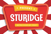 Sturidge Font, a Script Font by Haws.std (Thumbnail 1 of 5)