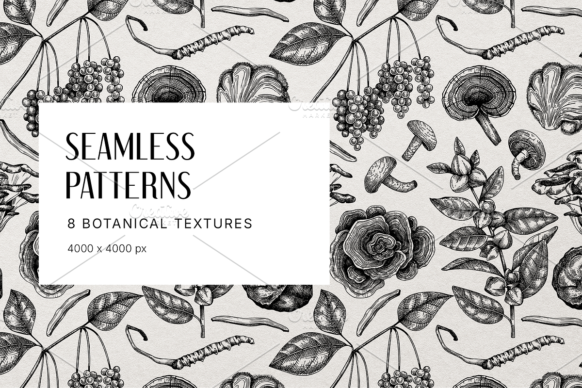 Medicinal Mushrooms & Plants Set, a Healthcare Illustration by Yevheniia (Photo 8 of 12)