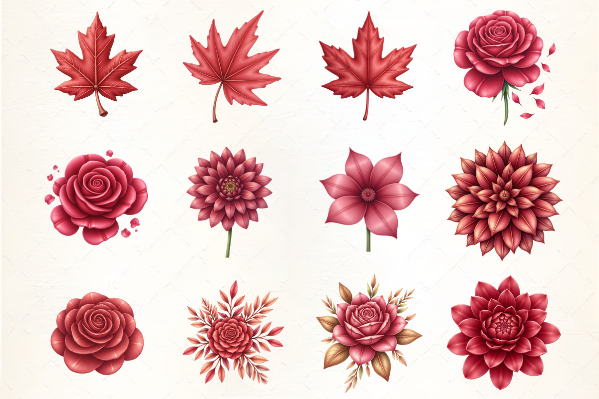Burgundy Autumn Leaves & Flowers, an Illustration by CrexoraLab (Photo 3 of 5)