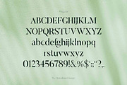 ELAYNE - Display Serif Font, a Serif Font by Hybridbee Design (Thumbnail 3 of 10)
