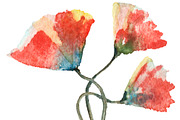 Bundle offer of watercolors, an Animal Illustration by Watercolor_Vector Graphic (Thumbnail 23 of 27)