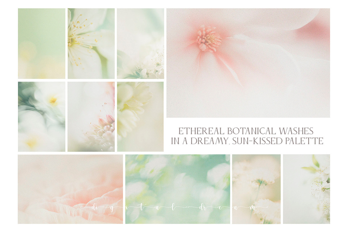Hazy Botanical Vellum Backgrounds, a Graphic by DigitalDream (Photo 5 of 9)