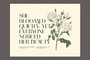 Aldiner Elegant Serif Font, a Serif Font by Perfectype (Thumbnail 6 of 8)