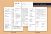 Professional Resume Template Word, a Resume Template by VictoriousVita (Thumbnail 4 of 8)