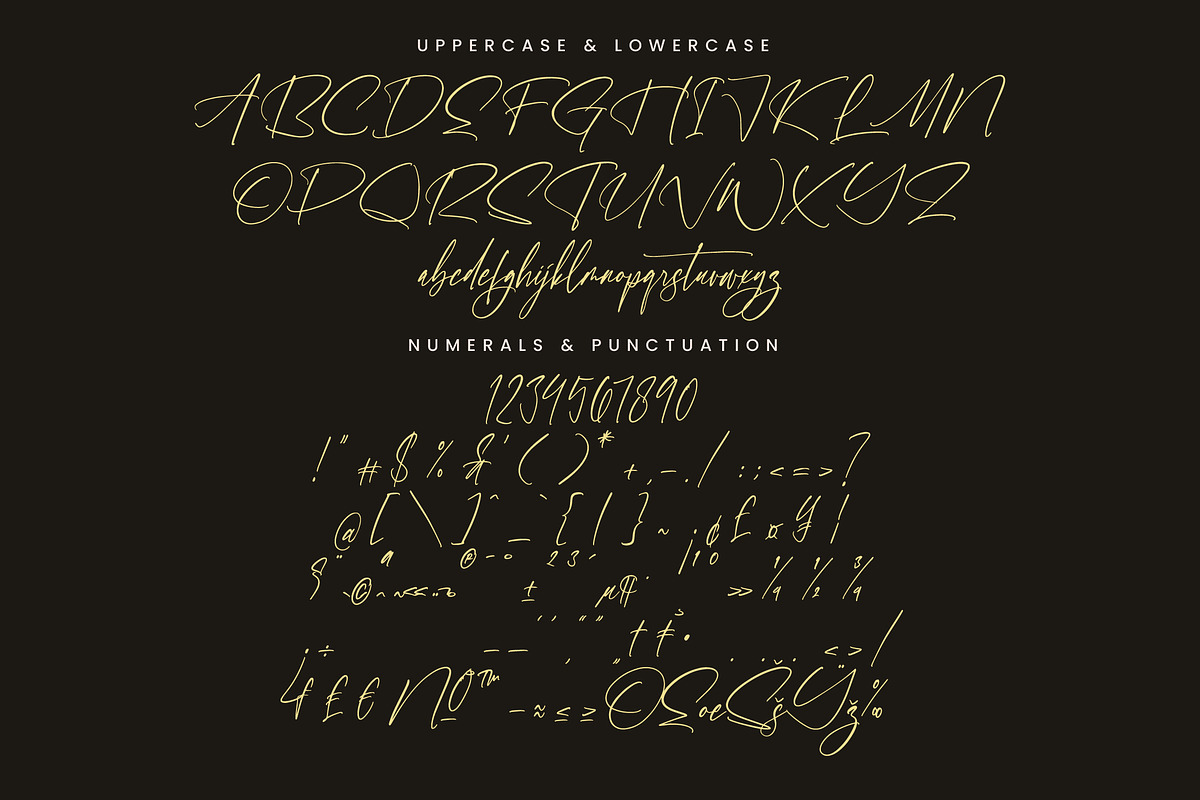 Tomithayen, a Script Font by Integritype Studio (Photo 13 of 15)