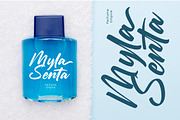 Chifest Skater Bold Handwritten Font, a Script Font by stylishtype.co (Thumbnail 2 of 20)