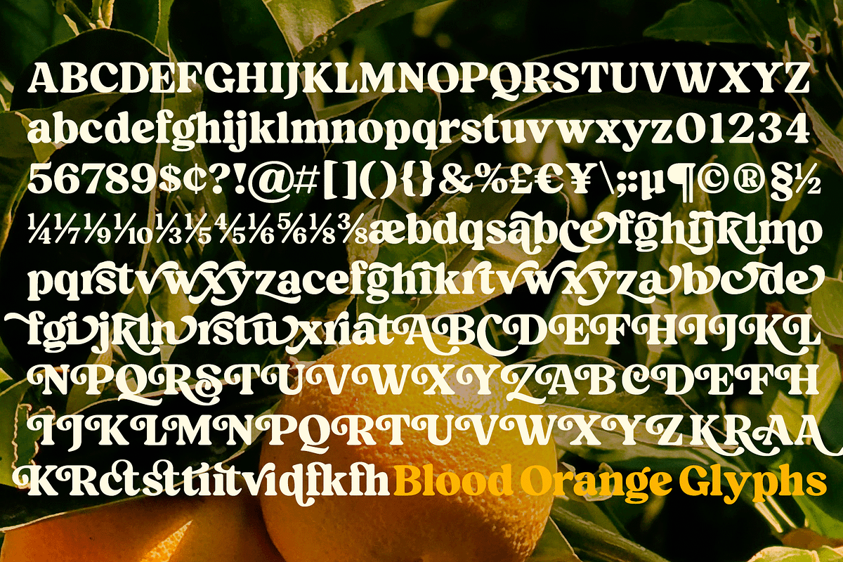 Blood Orange Vintage Serif, a Serif Font by Fenotype (Photo 11 of 16)