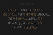 Brotherline - Logotype Font, a Script Font by Hendra Pratama (Thumbnail 16 of 19)